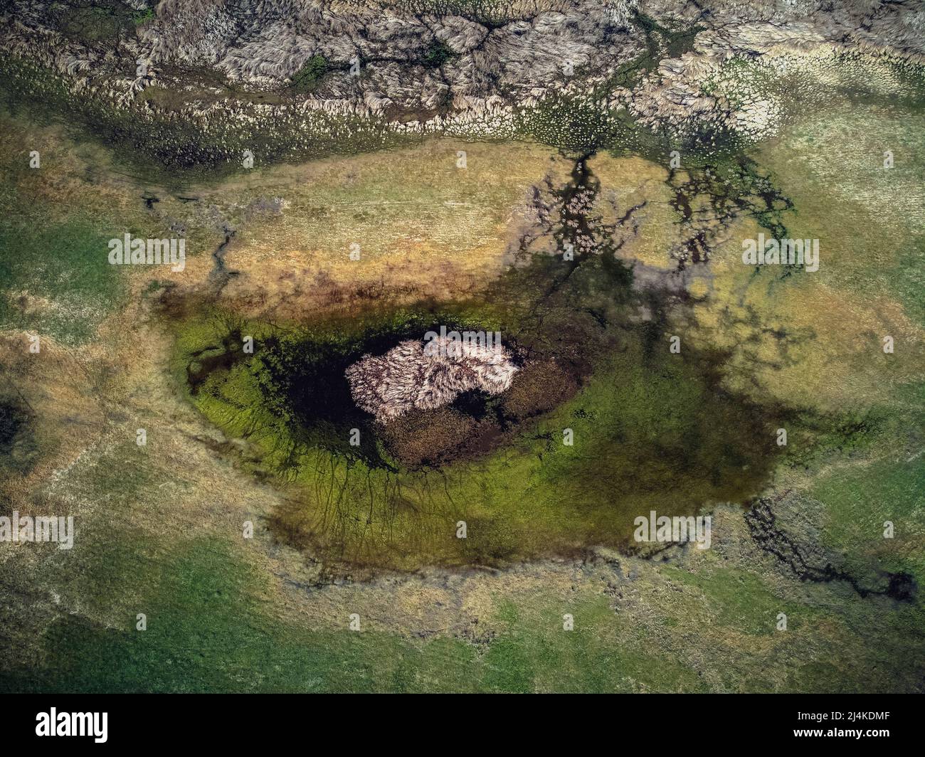 Drone-Luftaufnahme eines Geländes, das wie eine Karte aussieht. Foto aufgenommen am 27.. März 2022, in der Nähe von Calacea, Timis County, Rumänien, Europa. Stockfoto