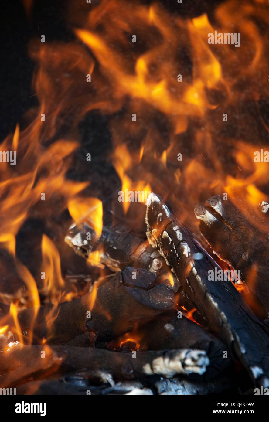 Gelbe Flammenzungen tanzen auf Holzstämmen Stockfoto