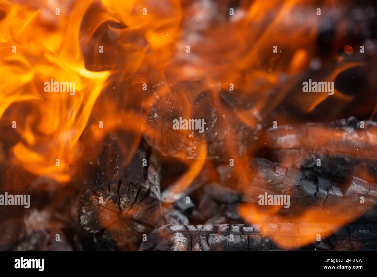 Gelbe Flammenzungen tanzen auf Holzstämmen Stockfoto