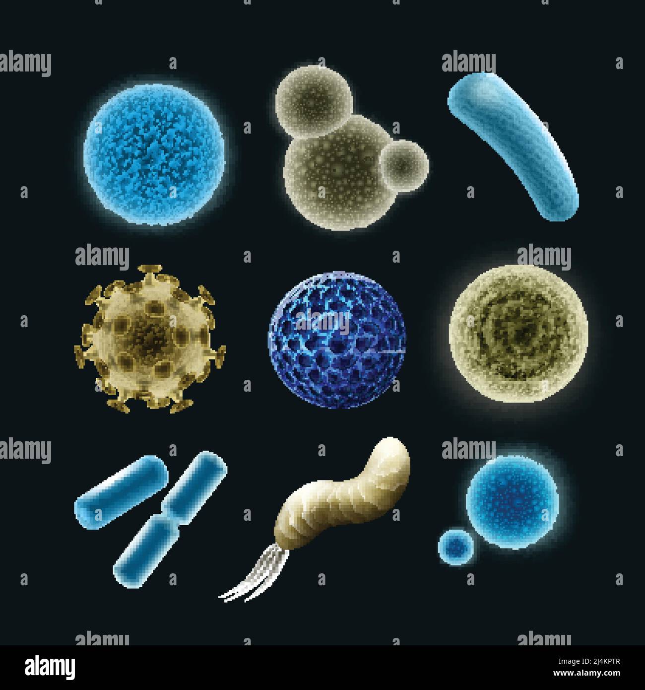 Vektor-Set von verschiedenen Bakterien und Viruszellen Kokken, Spirilla, Bazillen, Diplobacilli auf dunklem Hintergrund isoliert Stock Vektor
