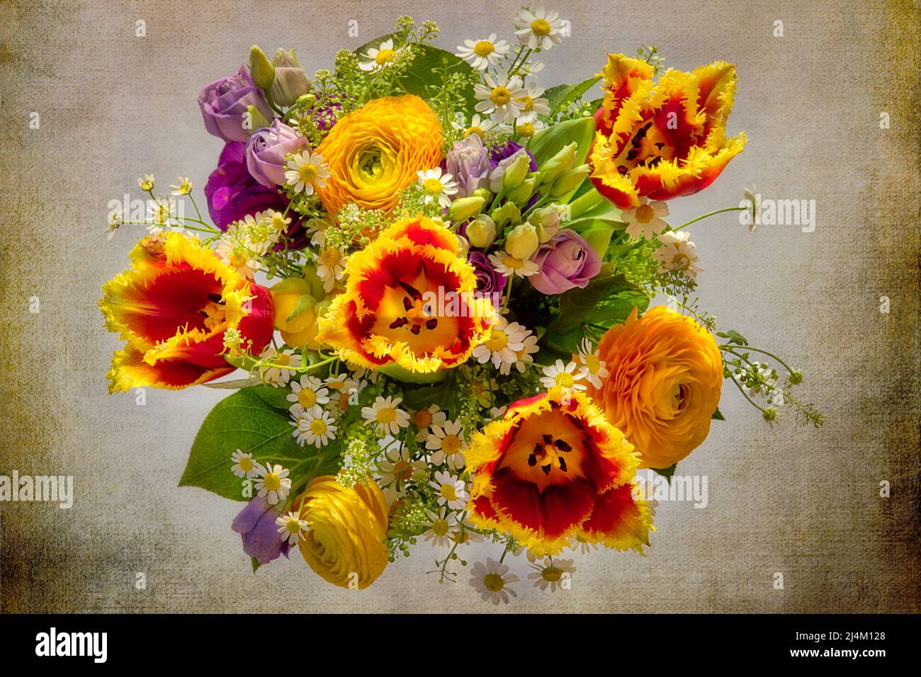 BLUMENKUNST KONZEPT: Arrangement von bunten Frühlingsblumen Stockfoto