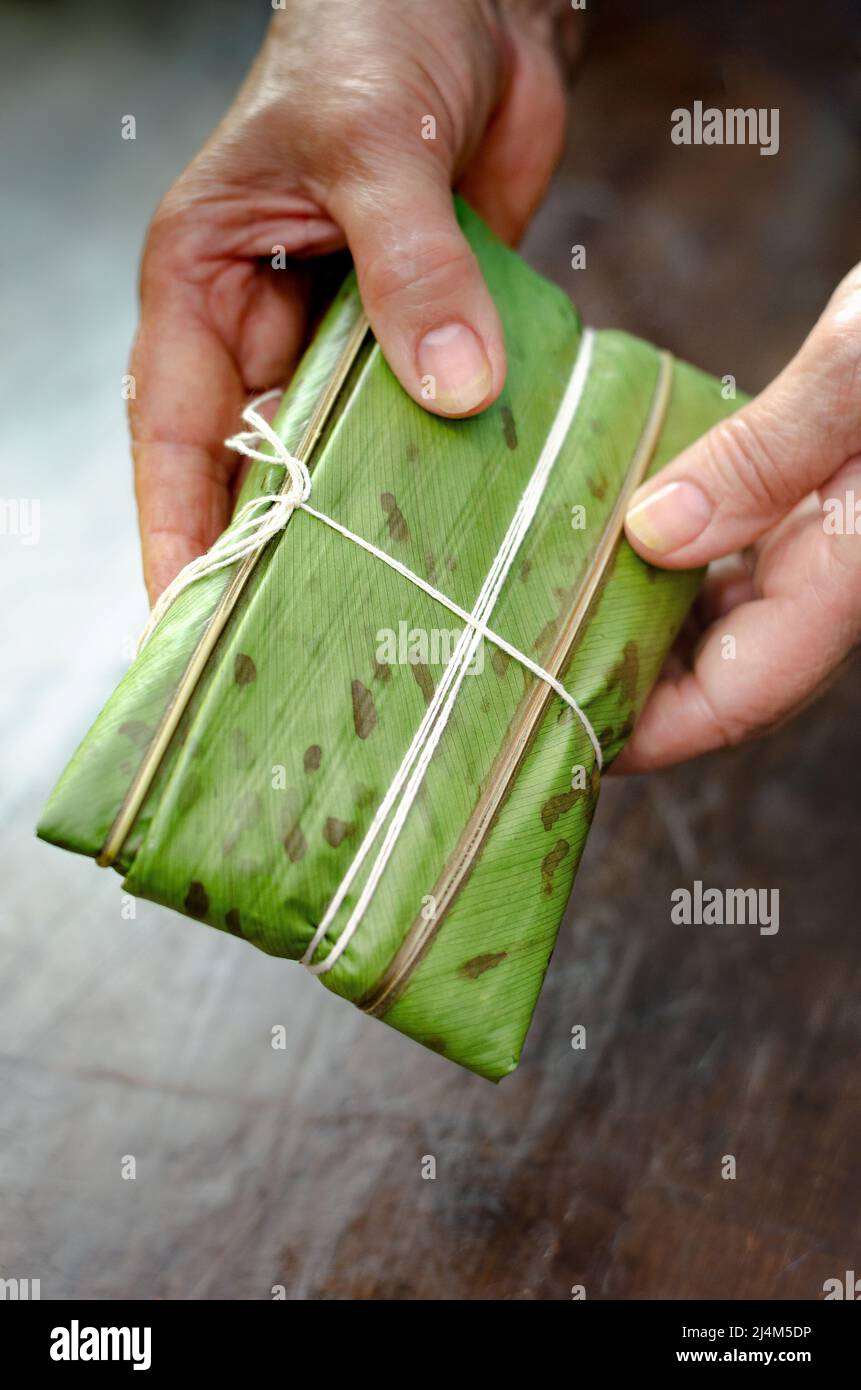 Einheimische Frau, die Essen gibt kolumbien traditionell, mit Maisteig gemacht und mit Huhn, Schweinefleisch, Schweinerippchen, Gemüse gefüllt; in Bananenblättern, gedämpft. Stockfoto