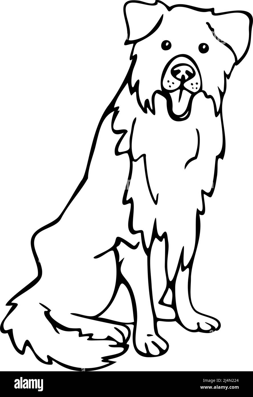 Vektordarstellung von Border Collie. Handgezogener Hund. Stock Vektor