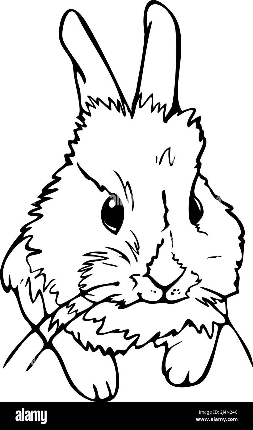 Vektor-Illustration von niedlichen kleinen Hasen. Schwarz-weißes, handgezeichnetes Kaninchen. Stock Vektor