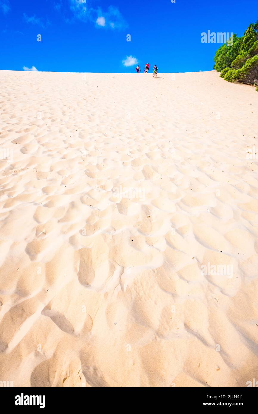 Eine Gruppe von Touristen erklimmt die steile Sanddüne auf der Hammerstone Sandblow weg vom Lake Wabby auf Fraser Island, Queensland, Australien. Stockfoto