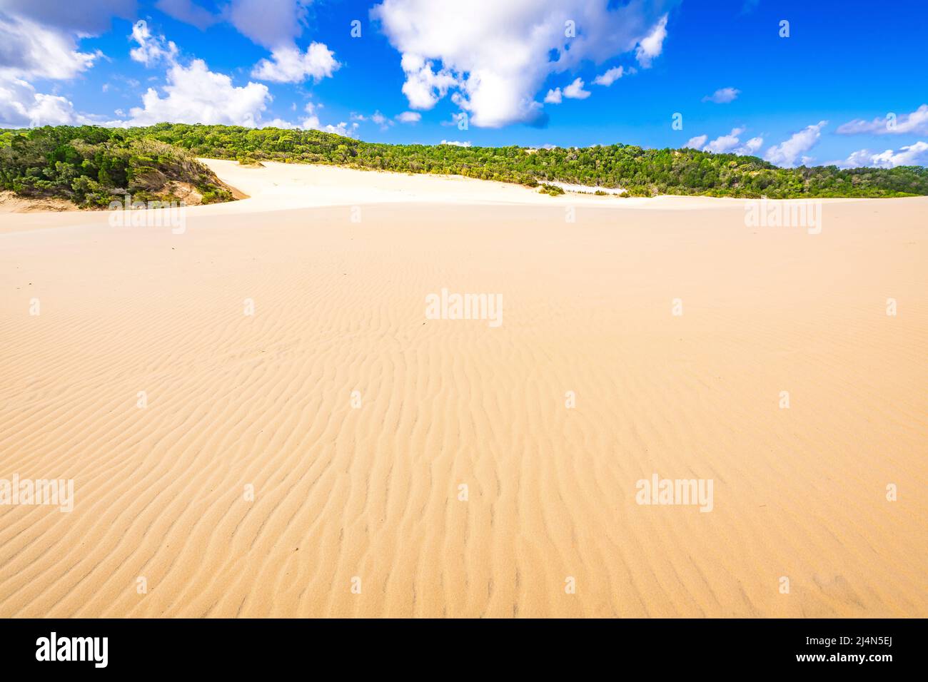 Hammerstone Sandblow wird auf dem Weg zum Lake Wabby gefunden und bildete das Staudamm und den Fenstersee Stockfoto