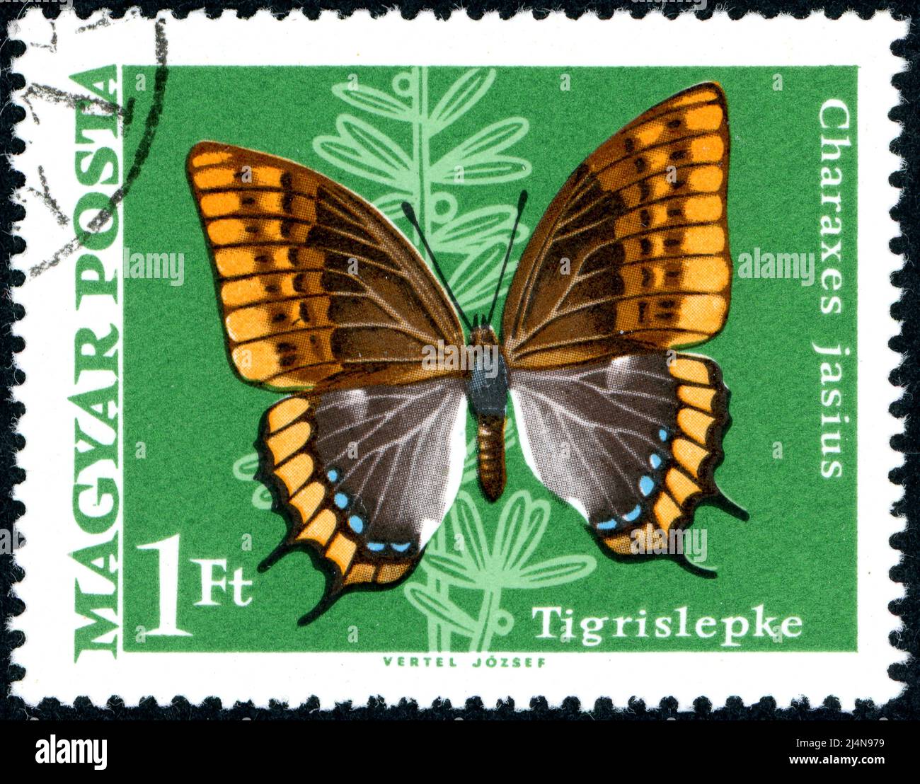 UNGARN - UM 1969: Briefmarke gedruckt in Ungarn, Darstellung des zweischwänzigen Pascha-Schmetterlings (Charaxes jasius), um 1969 Stockfoto