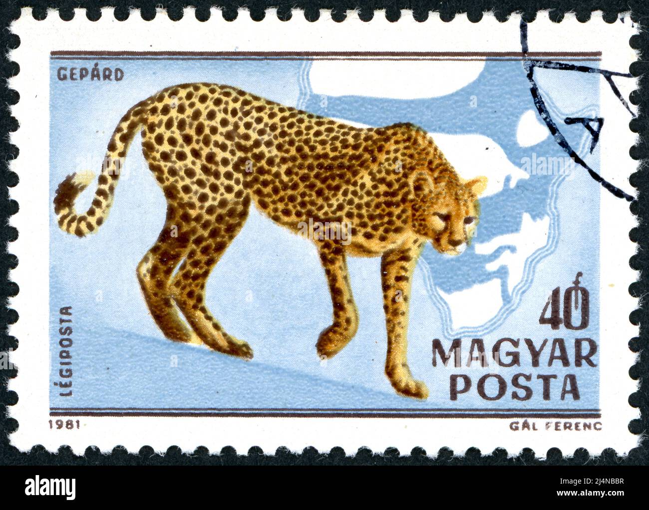 UNGARN - UM 1981: In Ungarn gedruckte Briefmarke, zeigt Gepard (Acinonyx jubatus), um 1981 Stockfoto