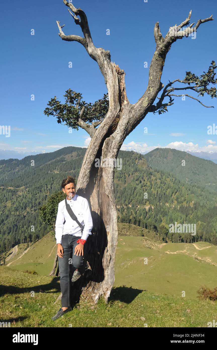 Ein junger, männlicher Tourist, der sich gegen einen Baum posiert, mit wunderschönem Blick auf den Berg und den Himmel Stockfoto