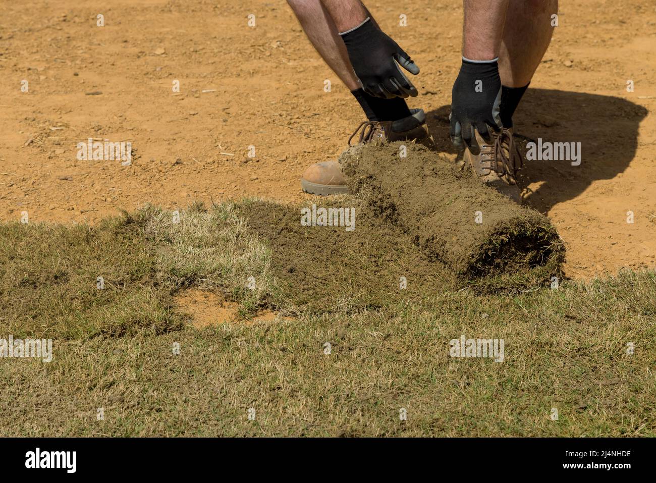 Der Arbeiter rollt den Spatenstich für den neuen Gartenrasen ab Stockfoto