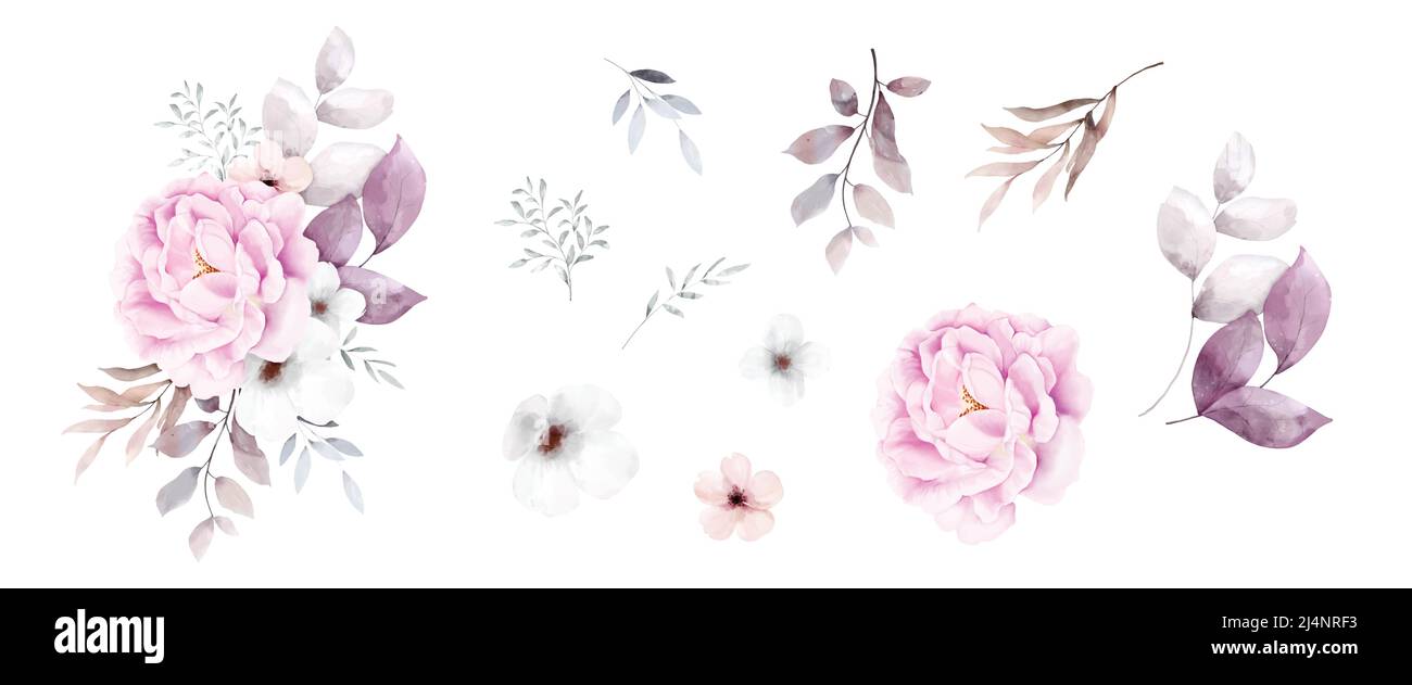 Set von rosa Blumenstrauß Aquarell-Elemente auf weißem Hintergrund isoliert. Botanische Illustration Sammlung von Blumen, Blättern und Zweigen. Stock Vektor