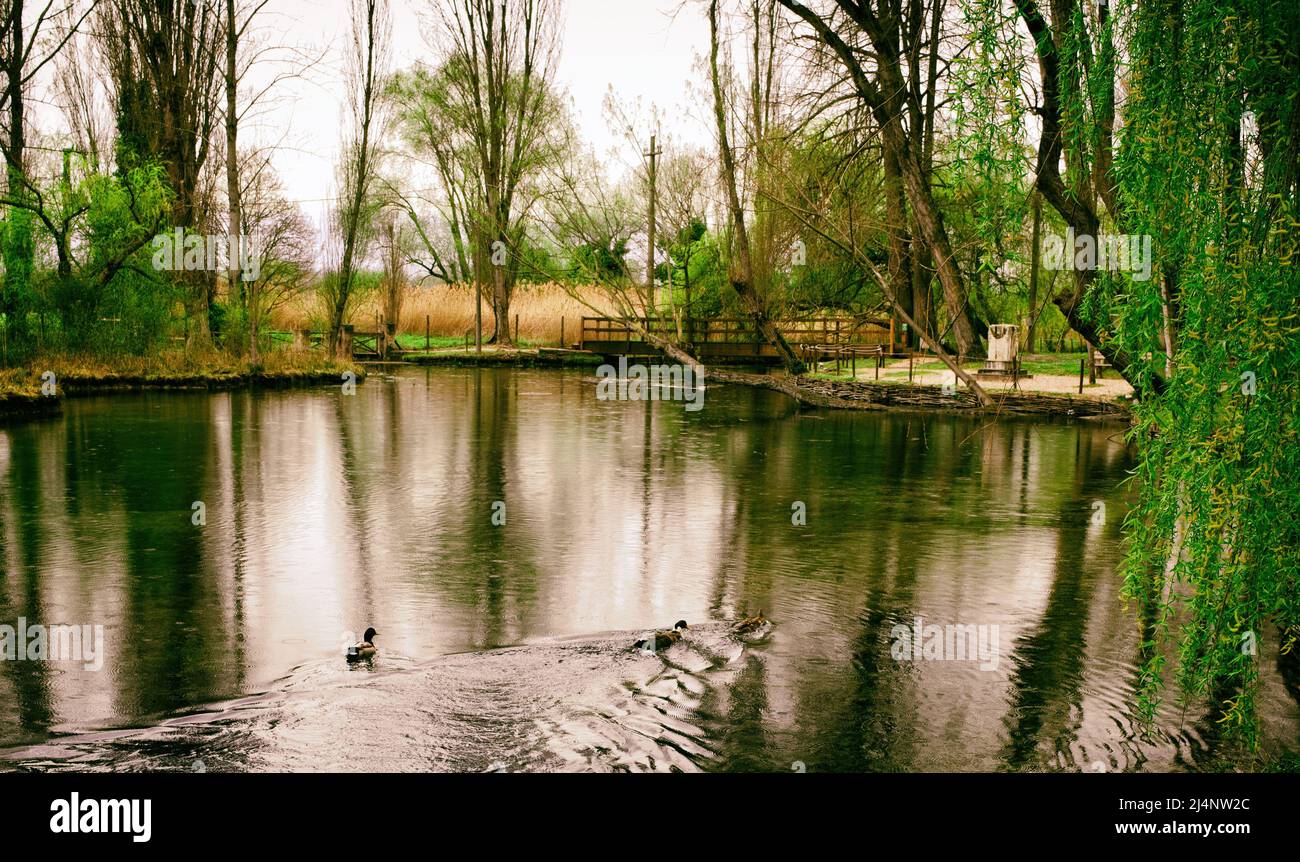 Clitumnus Springs Stockfoto