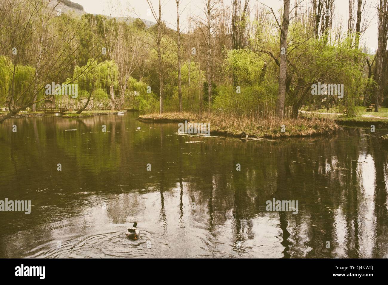 Clitumnus Springs Stockfoto