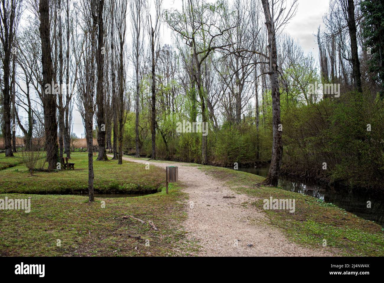 Clitumnus Springs Stockfoto