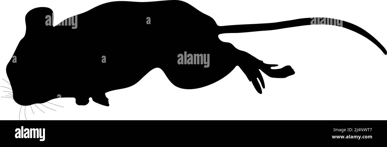 Schwarze Silhouette einer Maus auf weißem Hintergrund. Vektorbild. Stock Vektor