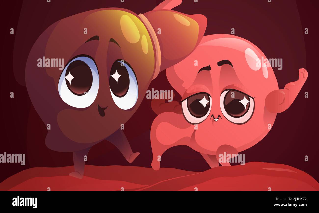 Cartoon gesunden Magen und Leber Zeichen im Bauch. Niedliche innere Organe zeigen starke Muskeln. Magen Verdauungssystem Persönlichkeiten, Gesundheit und Stock Vektor