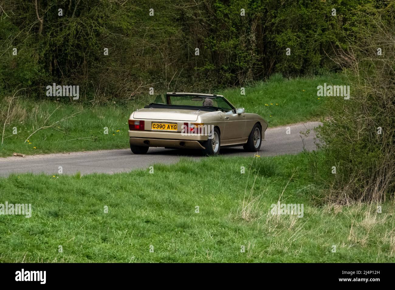 Classic 1985 Gold TVR Tasmin 390SE Cabriolet fährt durch das offene grüne Landhausdach nach unten Stockfoto