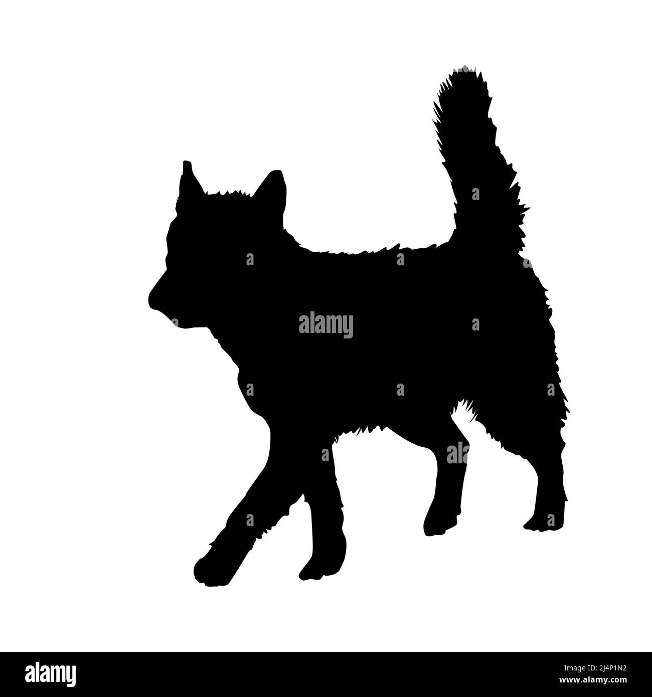 Hund Silhouette auf weißem Hintergrund isoliert. Schwarzes Symbol für Haustier-Hund. Watchdog-Symbol. Große Husky Rasse Haushund. Hundeschule. Vektorgrafik Stock Vektor