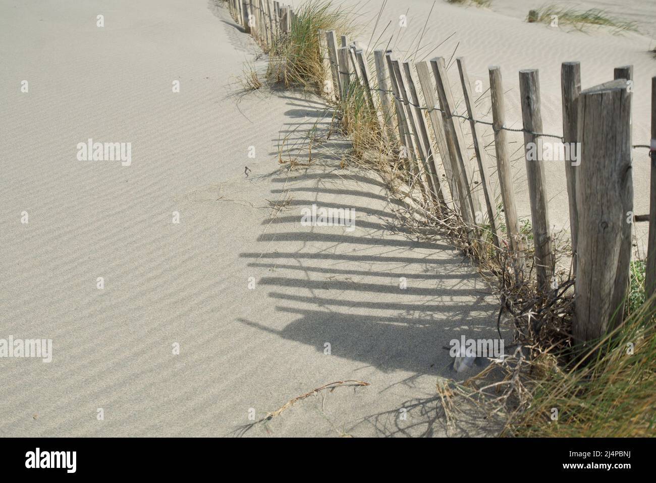 Holzzaun, der Sanddünen an einem Strand entlang der Küste schützt, ein Holzpfeilzaun. Seeverteidigung verhindert Erosion. Schöne Kunst Stockfoto