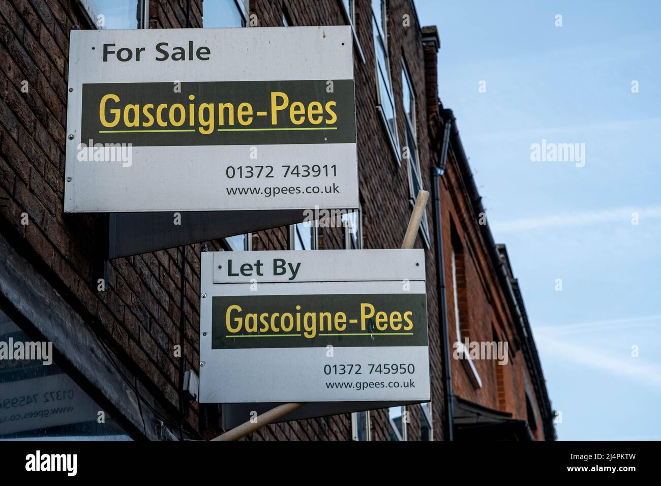 Epsom Surrey London, Großbritannien, April 17 2022, Gascoigne Pees Estate Agent for Sale Notice Board Stockfoto