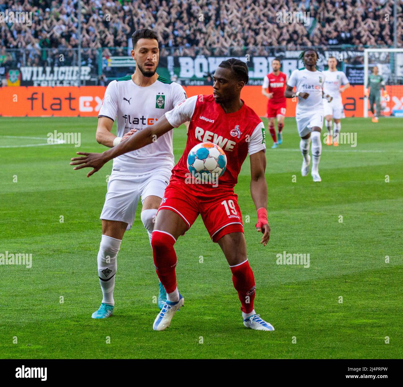 Sport, Fußball, Bundesliga, 2021/2022, Borussia Mönchengladbach gegen 1. FC Köln 1-3, Stadium Borussia Park, Schauplatz des Spiels, Kingsley Osezele Ehizibue (FC) Ahead und Rami Bennebaini (MG), DFL-VORSCHRIFTEN VERBIETEN DIE VERWENDUNG VON FOTOS ALS BILDSEQUENZEN UND/ODER QUASI-VIDEO Stockfoto