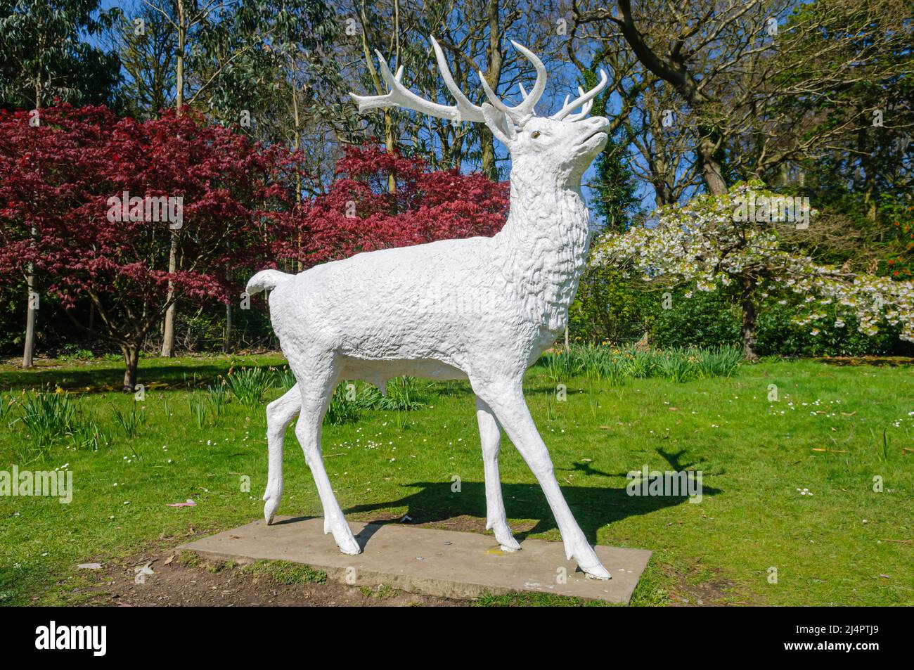 Statue in einem Garten von einem weißen Hirsch/Reh Stockfoto