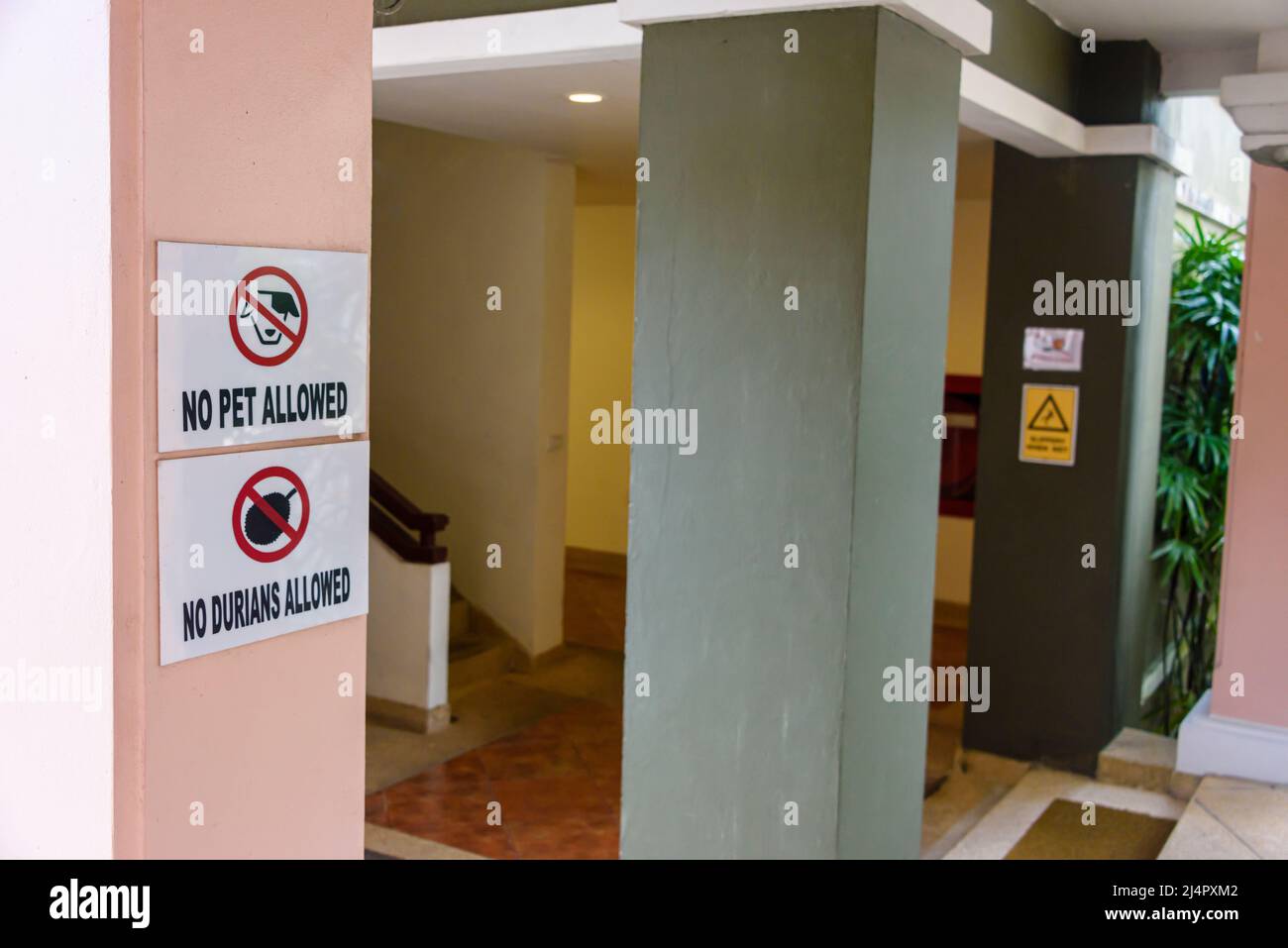Schilder am Eingang eines Hotels warnen Gäste, dass Haustiere und Durian Obst nicht erlaubt sind, Thailand Stockfoto