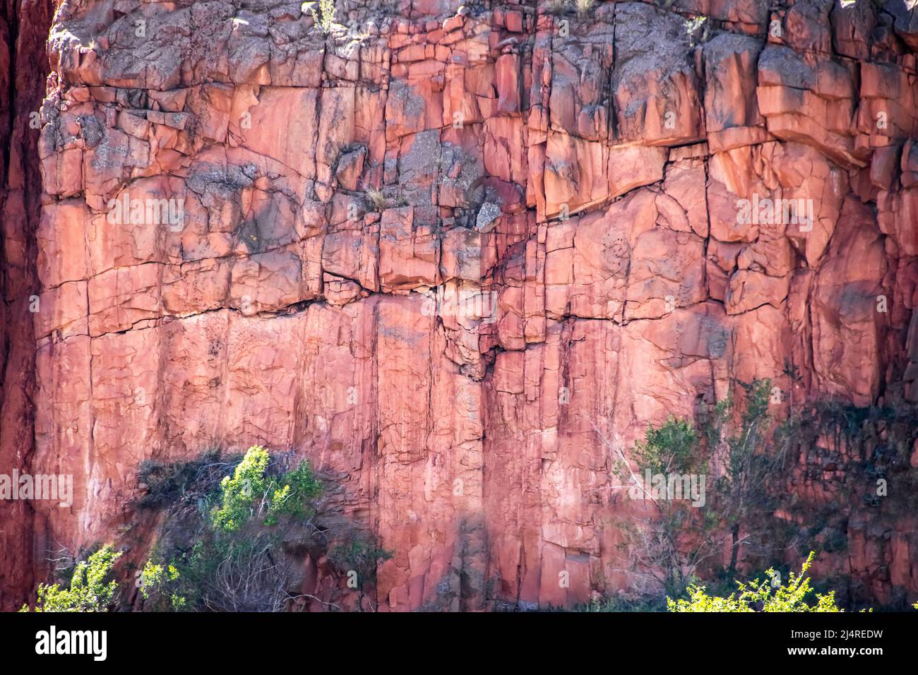 Nahaufnahme Detail oder Hintergrund der roten Felsen Klippe mit Rissen und Brocken und ein wenig Vegetation Stockfoto