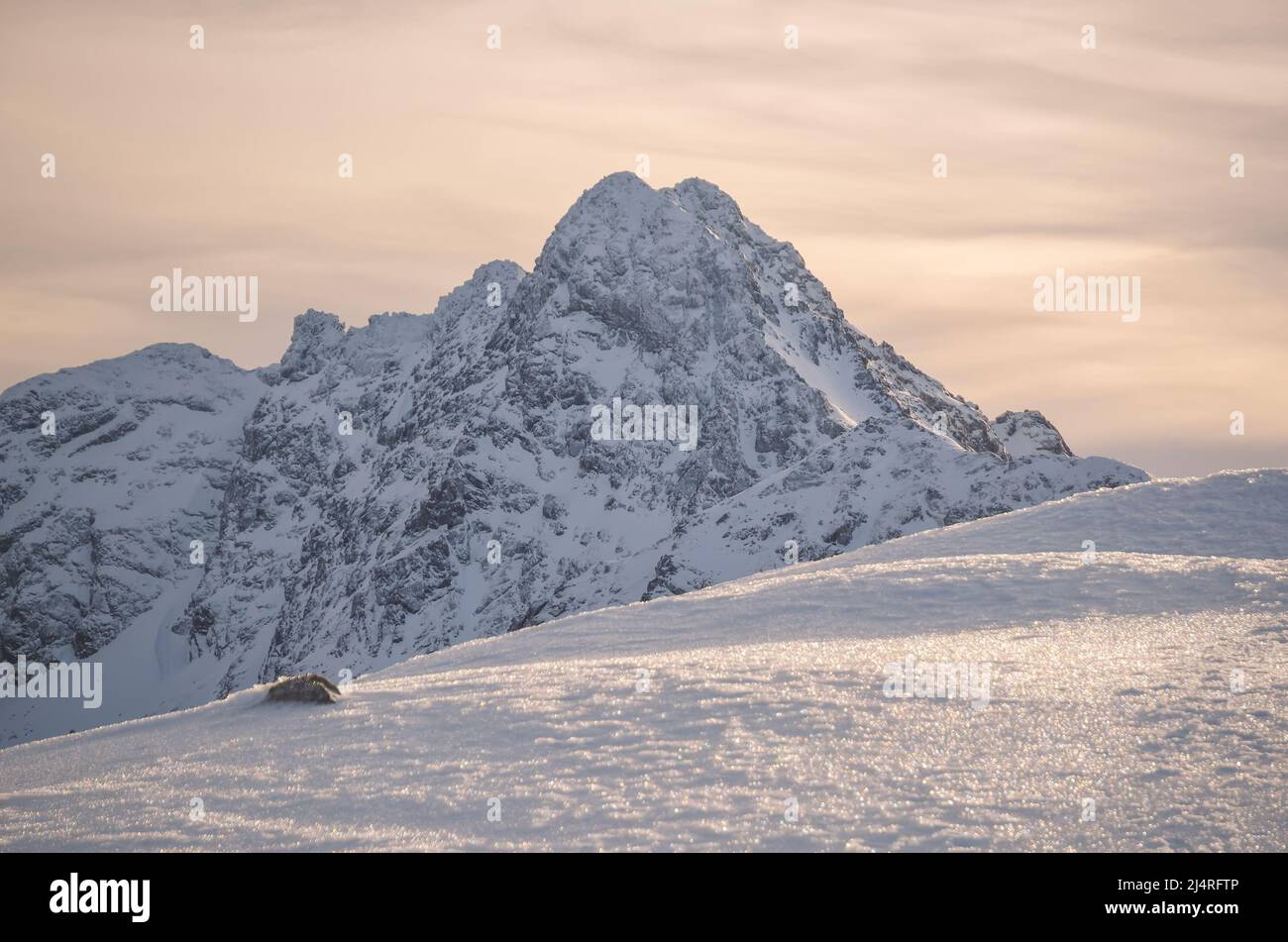 Winterlandschaft in den Bergen. Verschneiten Morgen in den polnischen Tatra-Bergen. Blick auf den Gipfel der Swinica in der Hohen Polnischen Tatra. Stockfoto