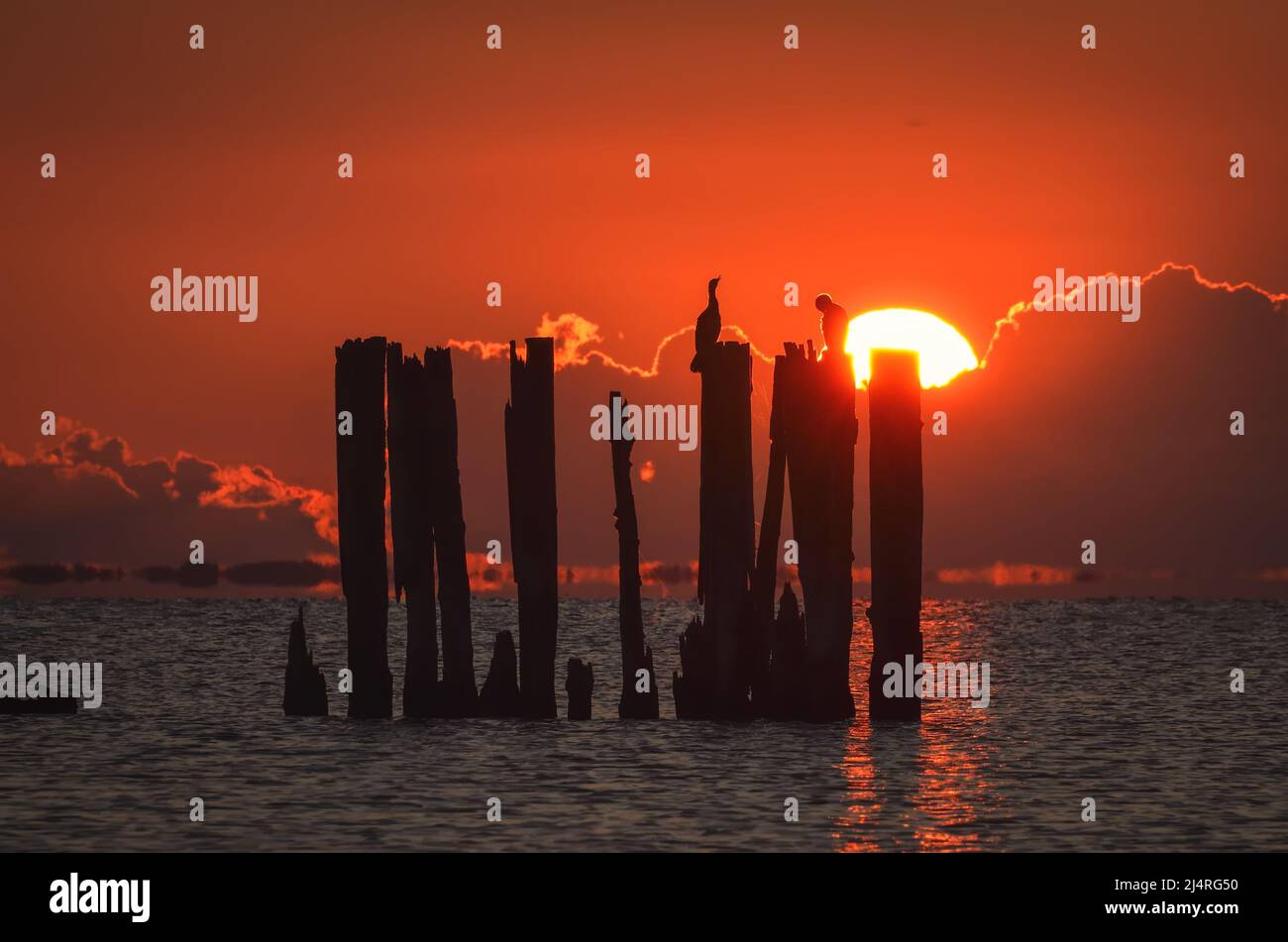 Wunderschöner Blick auf das Meer am Abend. Holzballen an der polnischen Küste mit der Abendsonne im Hintergrund. Stockfoto