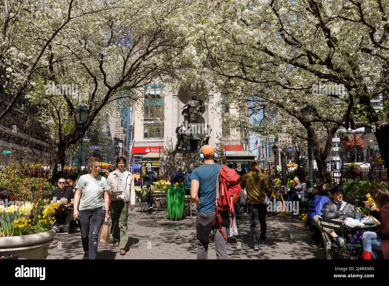 Herald Square in Spring ist gefüllt mit blühenden Bäumen, Midtown, New York, NY, USA. Stockfoto