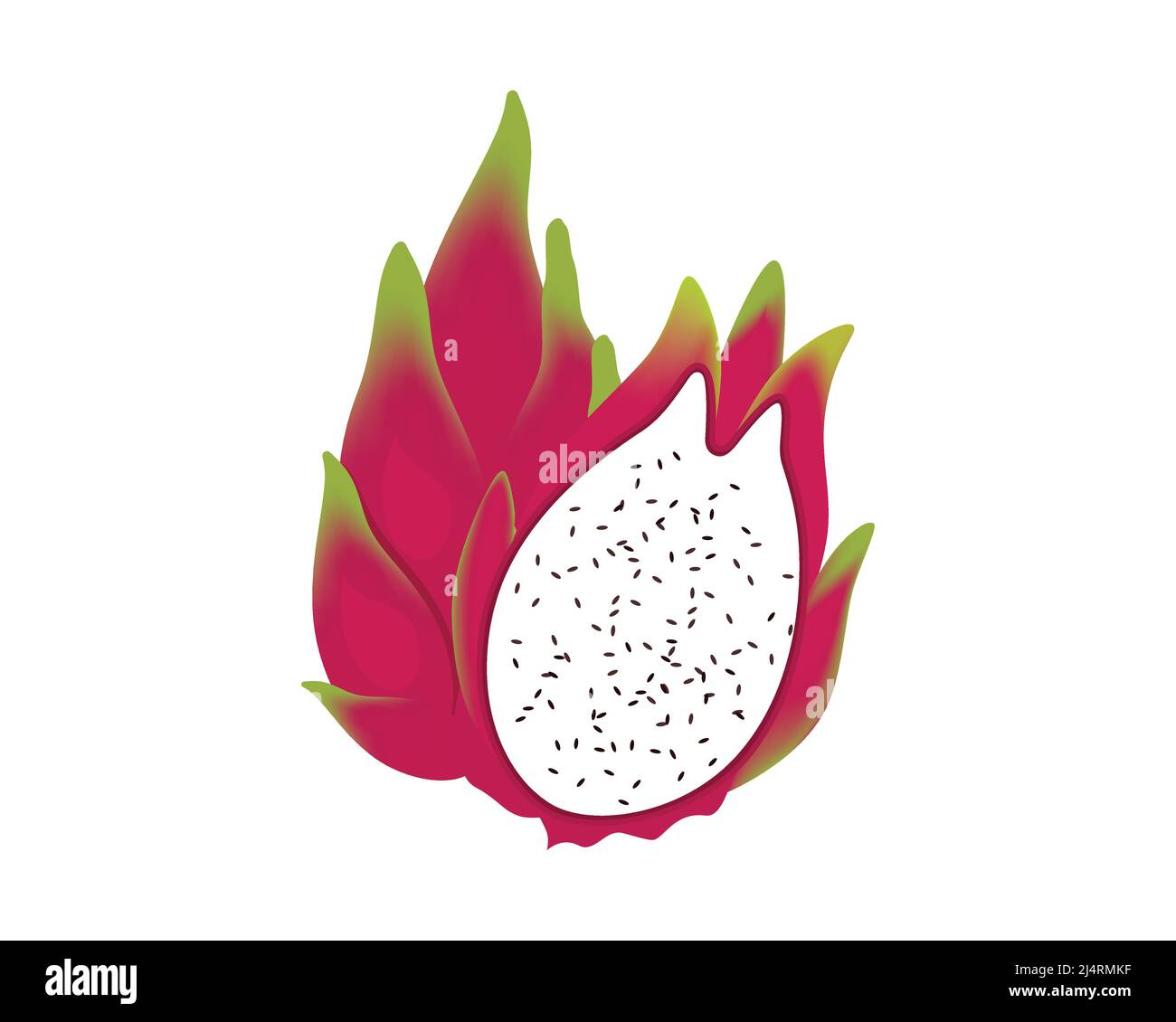 Detaillierte Drachenfrucht Illustration Vektor Stock Vektor