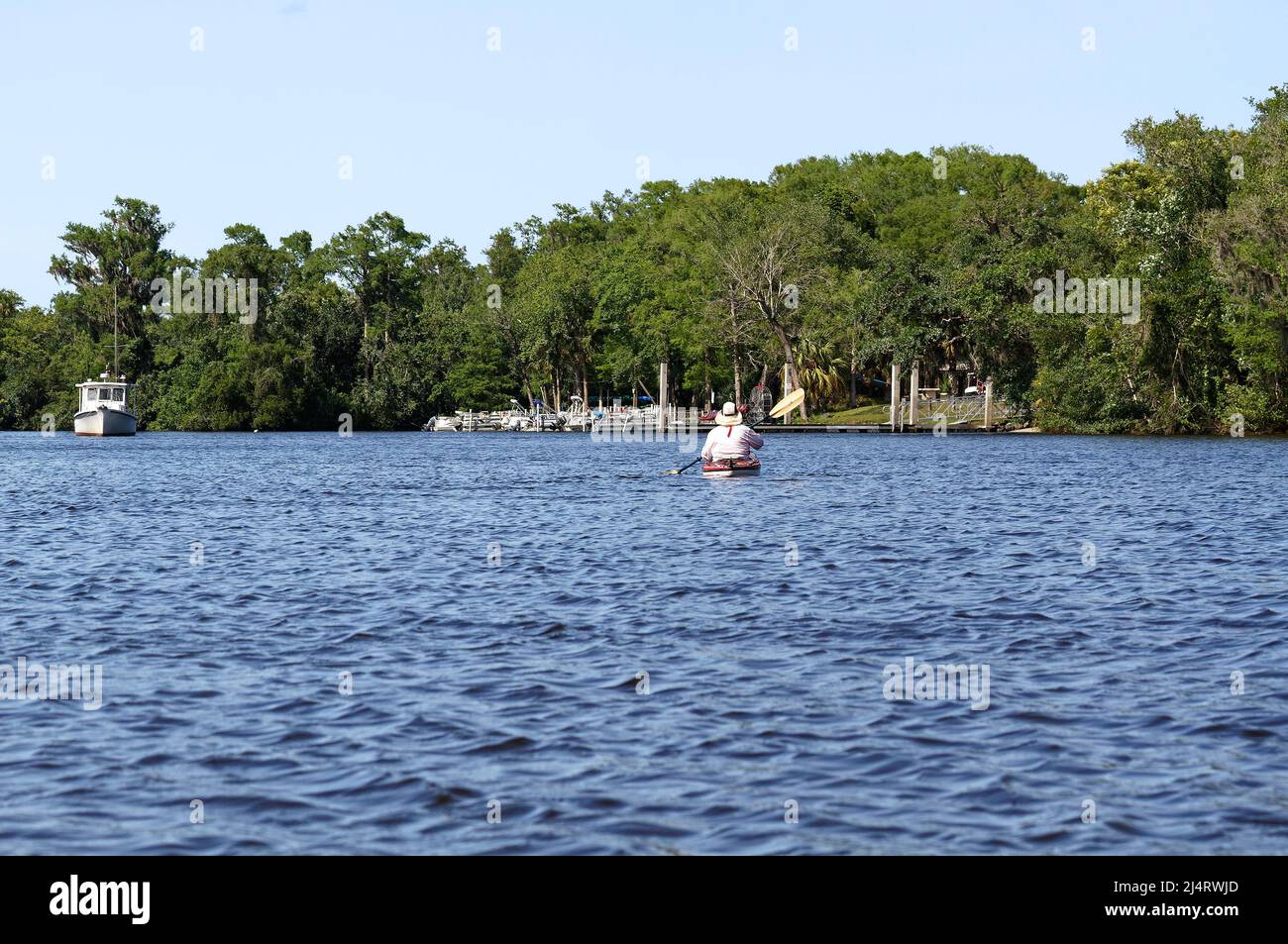 Marine-Szene, Mann Kajakfahren, Boot vor Anker, Boote am Pier angedockt, blaues Wasser, Bäume am Ufer, Erholung, Freizeit, Salatsee, Florida, Arcadia, Stockfoto