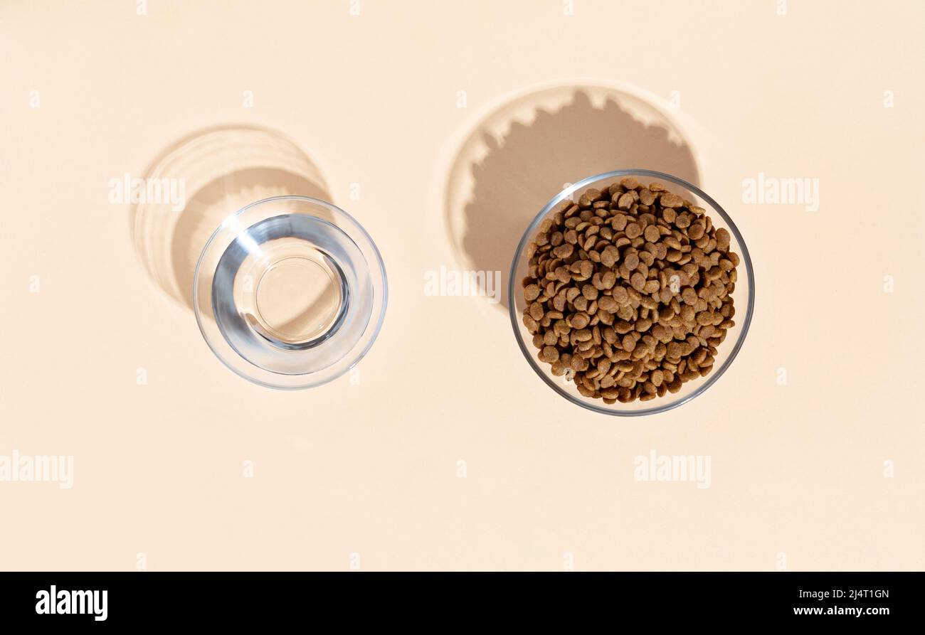 Draufsicht auf weiße Schale mit trockenem Kibble Katzenfutter und Wassertier auf beigem Hintergrund. Stockfoto