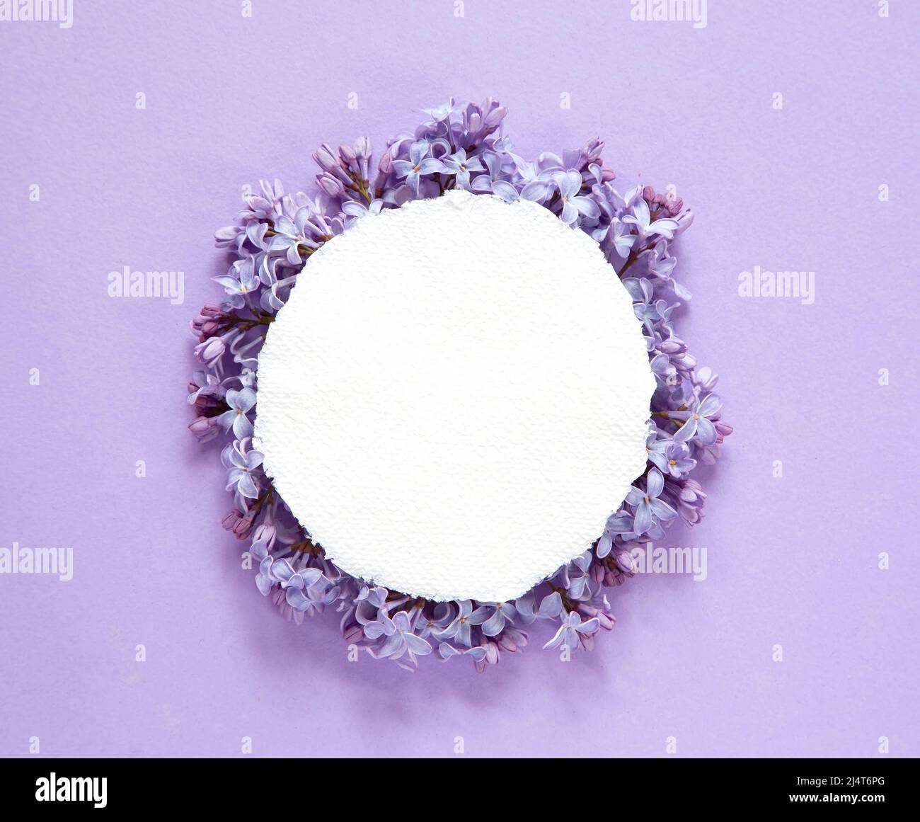 Frühlingsblumen mit einer Craft Paper blanck Note Stockfoto