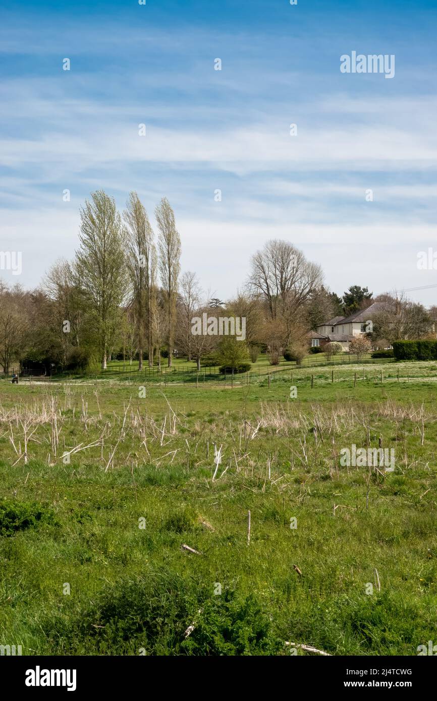 Mit Blick auf Wiesen und ein Paddock zu einem englischen Landhaus aus der Zeit, abgeschieden von Gartenbäumen und Hecken Stockfoto