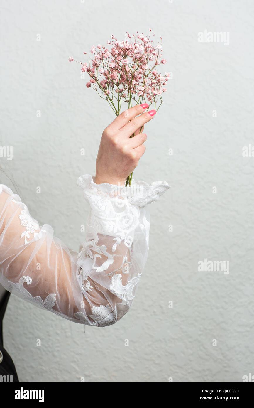 Weibliche Hand hält einen Strauß rosa Gypsophila Blumen oder Baby-Atem auf hellem Hintergrund. Inhalt des Blumenshopfes Stockfoto