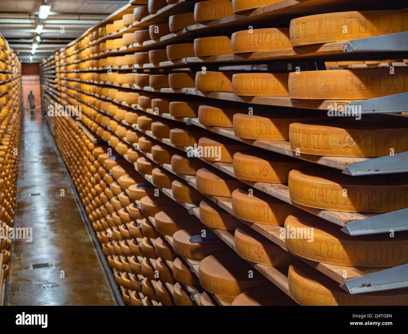 Gruyeres, Schweiz - 23. November 2021: Reifung von Käse in einem Keller der Käsefabrik Maison du Gruyere in der Schweiz. Stockfoto
