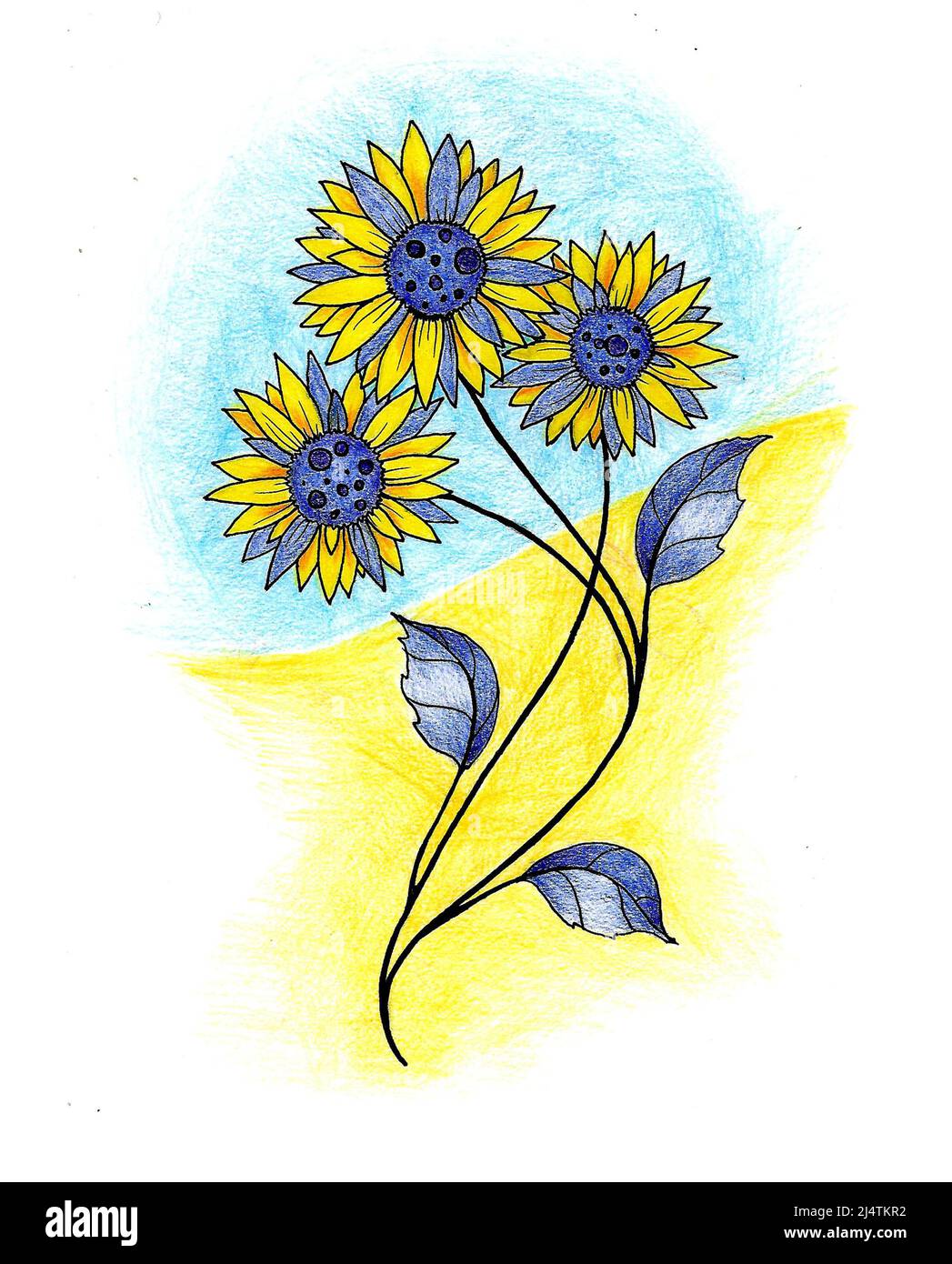 Gelb-blauer Blumenstrauß auf dem Hintergrund der ukrainischen Flagge mit der Aufschrift Ukraine Stockfoto