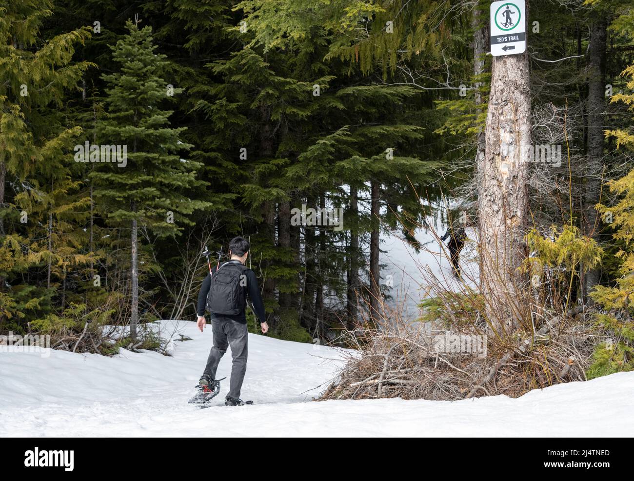 Männliche Schneeschuhwanderer auf dem Snowshoe Trail im Bullion Basin Stockfoto