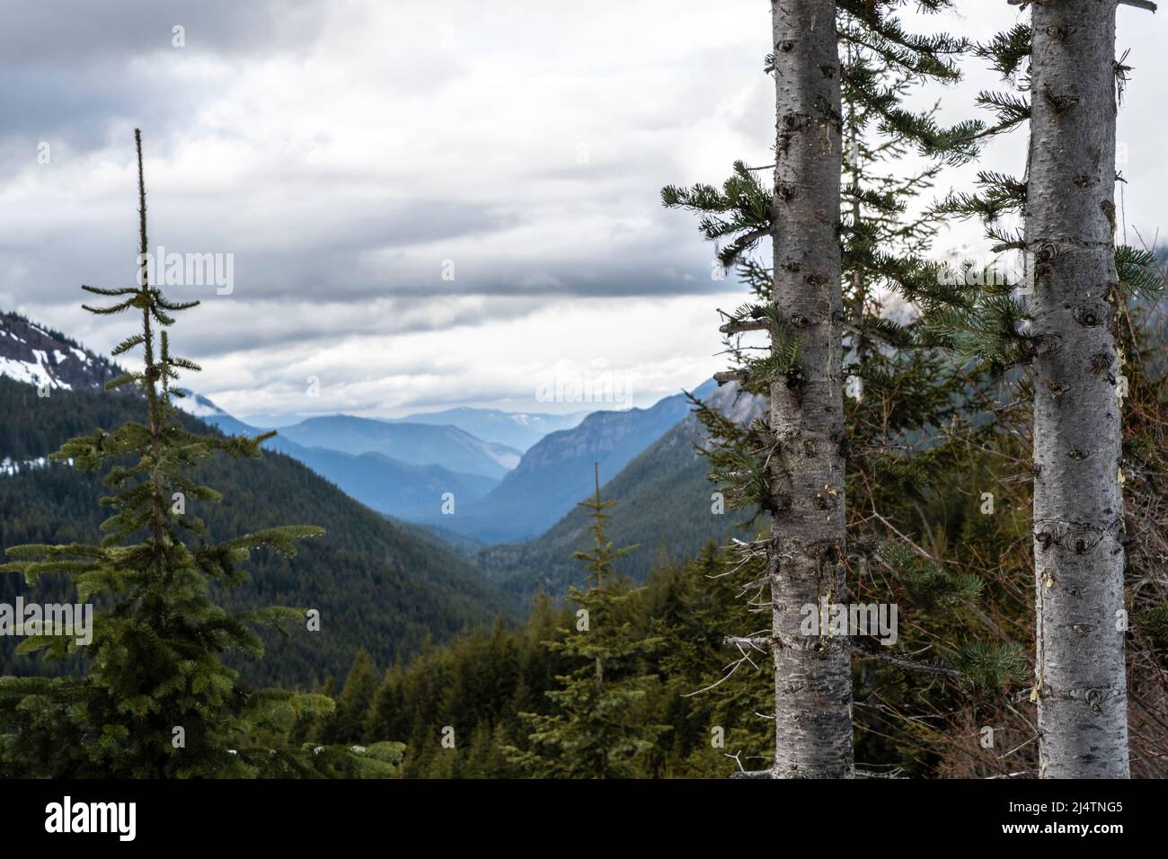 Das Tal durchschneidet die Cascade Mountains nordöstlich des Mount Rainier und blickt auf den Rainier National Park Stockfoto