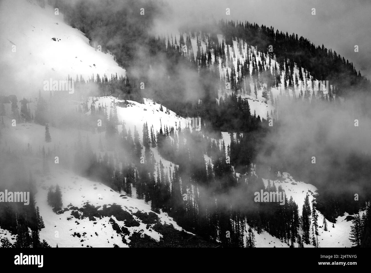 Schneeszene in den Cascade Mountains im pazifischen Nordwesten Stockfoto