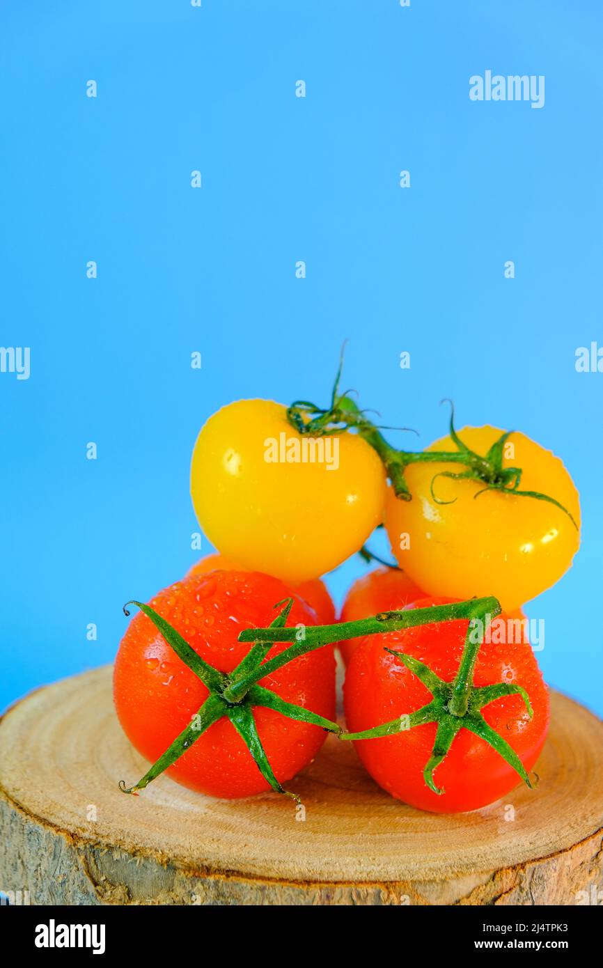 Bunte Tomaten.Frische Tomaten in Wassertropfen gesetzt.Tomaten gelb, rot auf einer Holzsäge auf blauem Hintergrund geschnitten.Bio-Tomaten auf dem Bauernhof Stockfoto