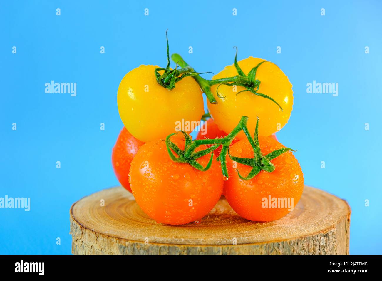 Bunte Tomaten.frische Tomaten.Tomaten gelb, rot auf einer Holzsäge auf blauem Hintergrund geschnitten gesetzt.Farm frische Bio-Tomaten Stockfoto