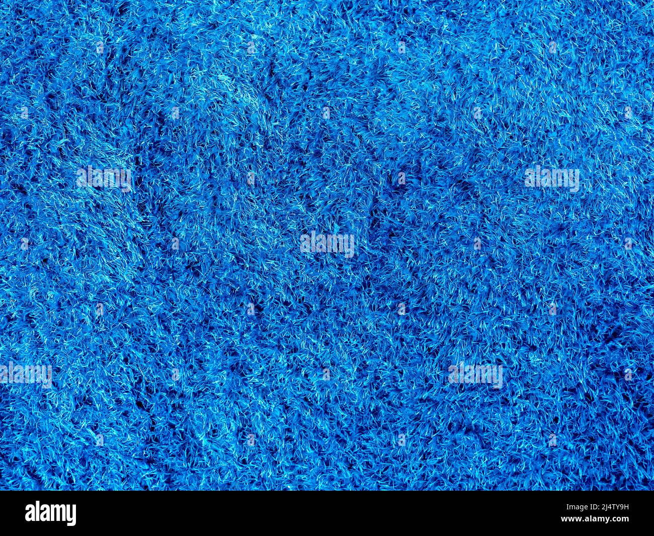 Teppichblaue Textur. Nahaufnahme sauber blauen Teppich Hintergrund. Stockfoto