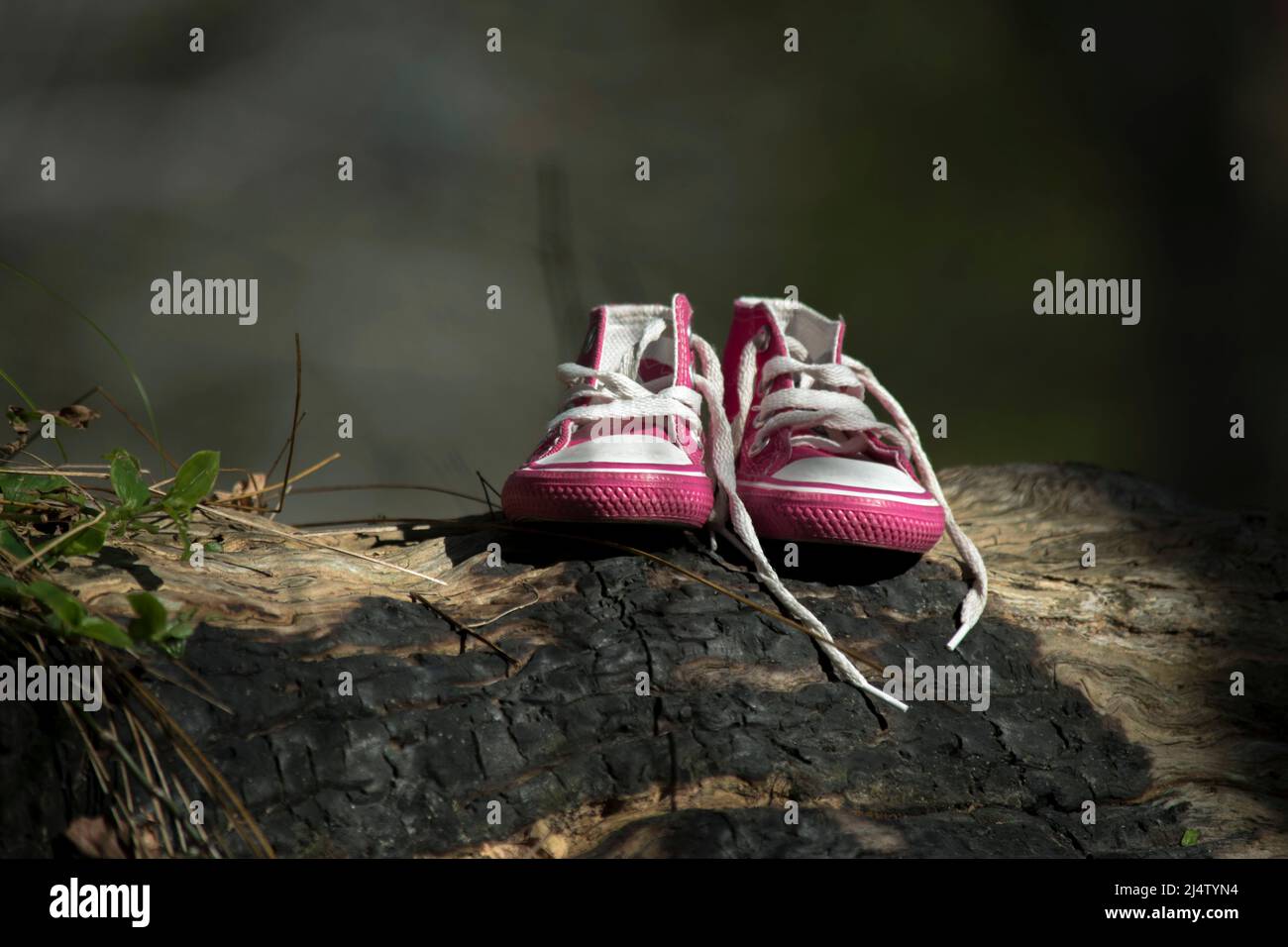 Pinkfarbene Hausschuhe eines Mädchens auf einem Baumstamm Stockfoto