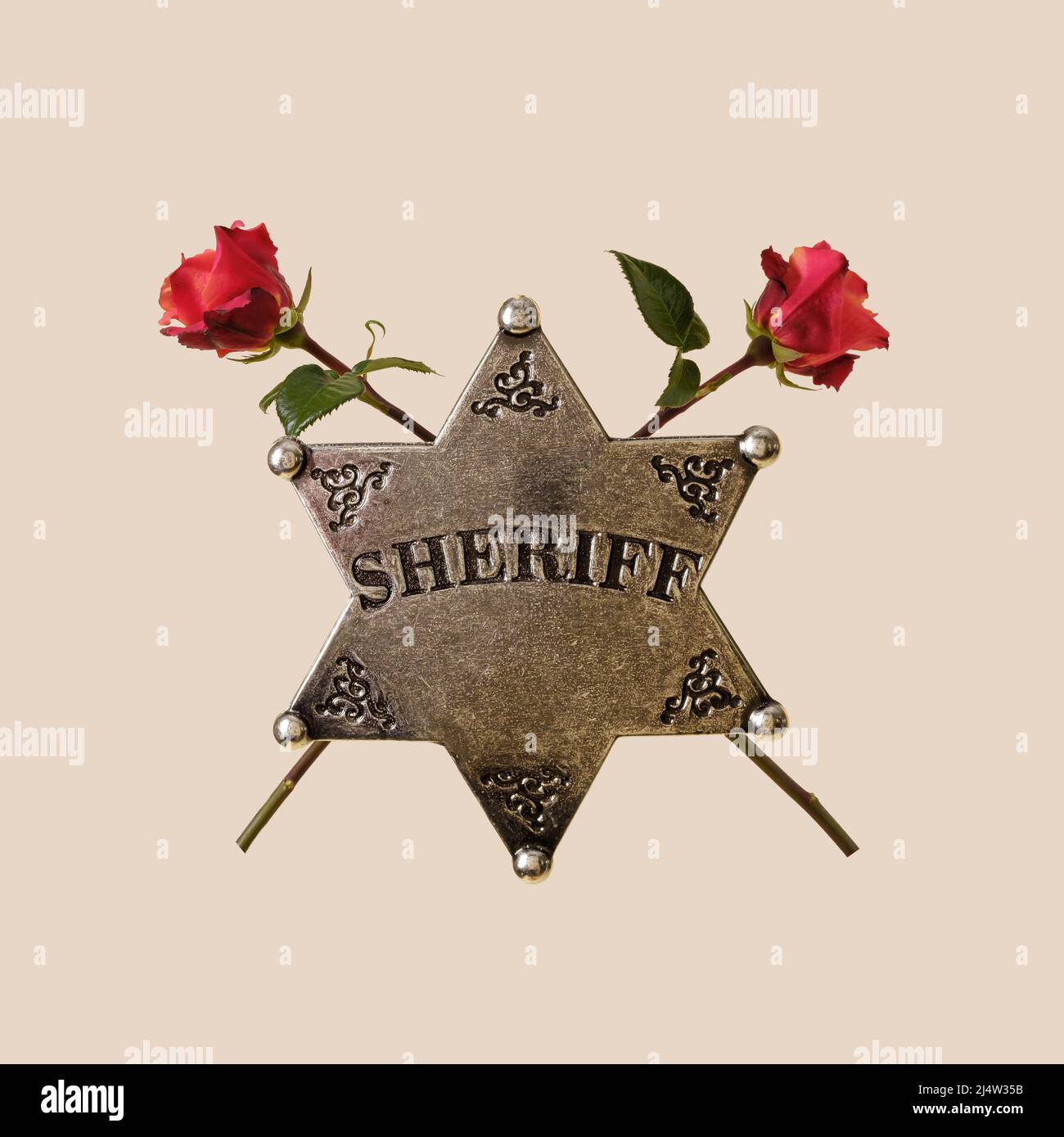 Sheriff-Star und Rosen Konzept der wilden Westen Polizei Detektiv und Liebe und Urlaub. Stockfoto