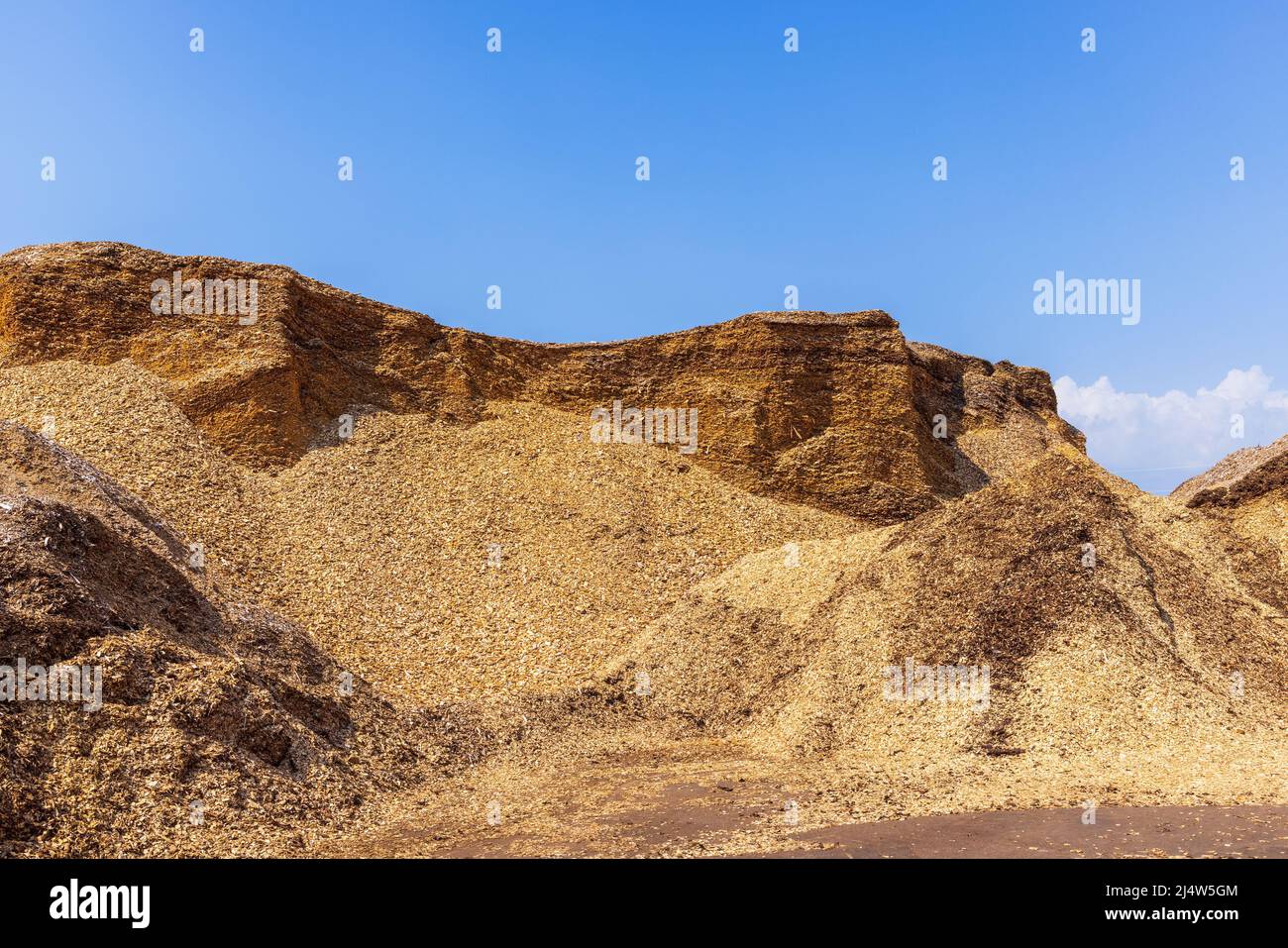 Hackschnitzel an einem Lagerplatz Stockfoto
