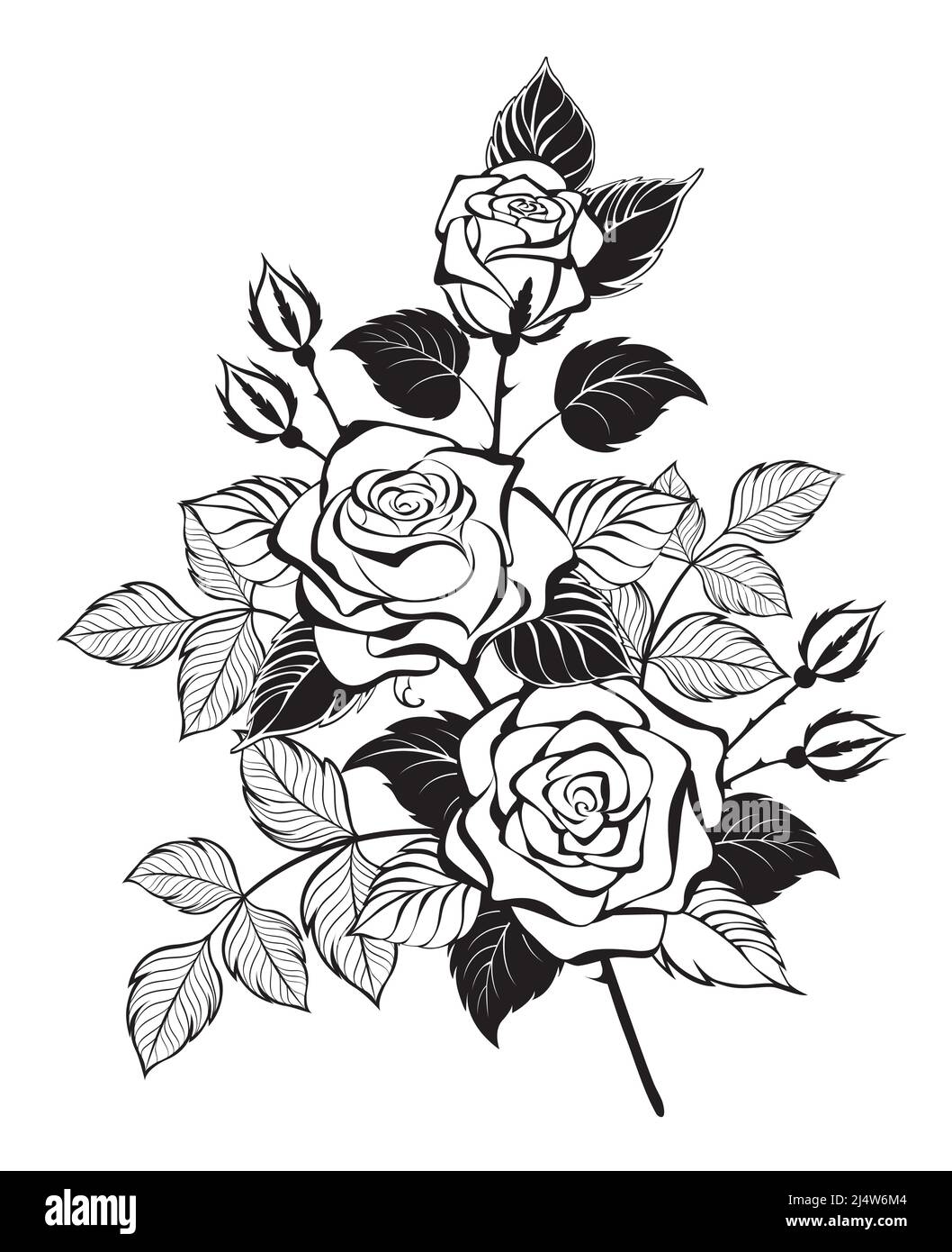 Künstlerisch gezeichnete, umrissene Zeichnung, Rosenzweige mit drei blühenden Knospen und silhouettierten Blättern. Tattoo-Stil. Stock Vektor