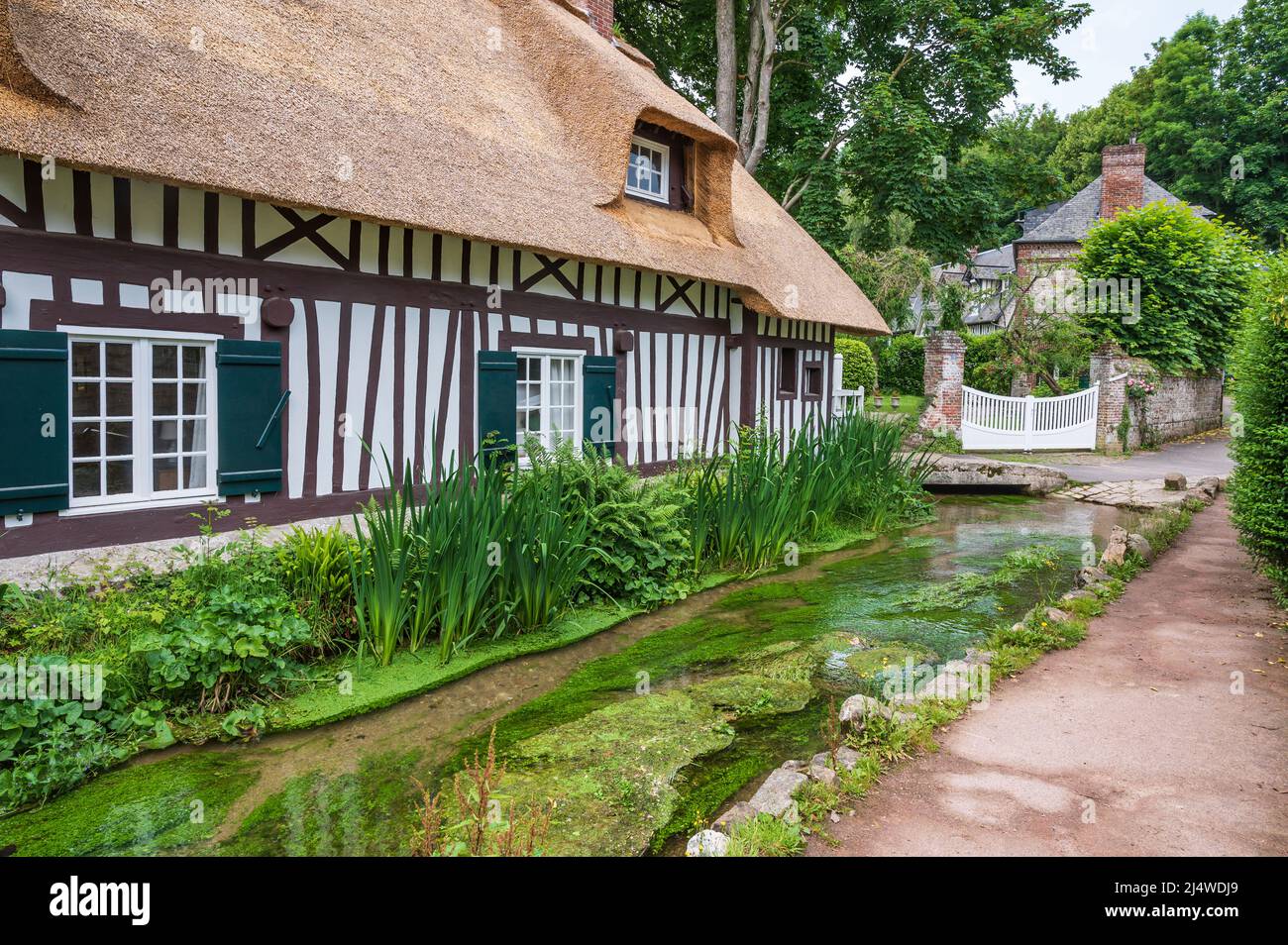 In Veules-les-Roses gibt es Frankreichs kurzen Fluss: Die Veules von nur 1km Länge, Normandie, Frankreich Stockfoto